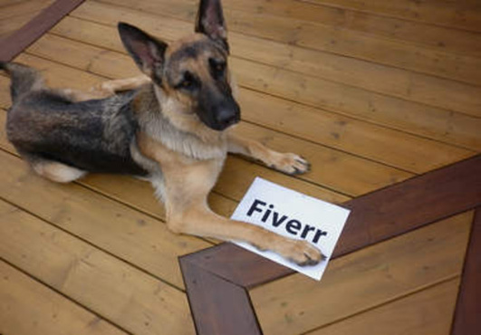 take incredible pictures of my dog holding your message, website, logo, fan sign or whatever you like big1