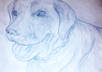 illustrate or draw anything that you would like