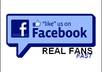 give you 50 Facebook Likes fans in 24 hours small1