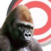 fastgorilla