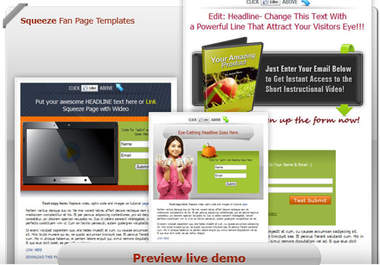send you a FIVERR exclusive custom facebook squeeze fanpage template big1