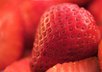 write 2 articles on alternative medicine and wellness