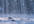 send you 30 min of light rain audio recording