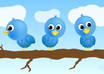 tweet your website to my 195,000 twitter followers for traffic and backlinks small1