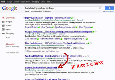 show you how to dominate Google in 4 weeks using Rank Hitter big1