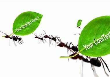 make Ants carry your Message and pictures HD video big1