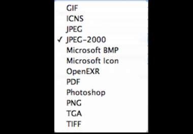 change/ Convert The File type Of 10 Images/Pictures big1