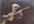 compose a piece of music for classical guitar
