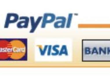 make a paypal donate button for you big1