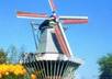 teach you to speak Dutch via Skype