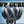 wpguru007