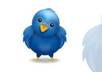 post your message to my 3,000+ twitter followers