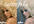 retouch / airbrush / correct 2 photos