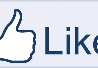 teach you how to get 300+ Real people Facebook likes EVERYDAY big1