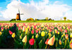 water color any 2 pictures small1