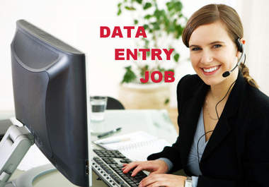 do data entry jobs within 1 day as per your requirement big1