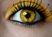 answer 3 eye related questions