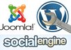 upload and install Joomla,Wordpress,social engine or any other CMS to your domain
