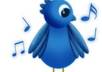 Twitter followers