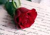 write you a poem, that you can give to your sweetheart