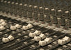 voice and produce up to 30 seconds of material