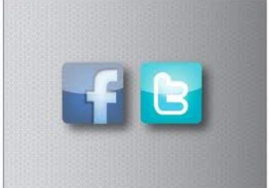 tweet your website message and link to 600 followers and post it on my facebook 1300 fans big1