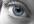 give you an iridology reading with written information about your eyes health patterns