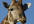 make you a category sponsor on my RSS directory RSSChomp for your niche