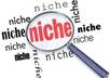 give you Profit Pulling Niches ebook with MRR