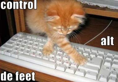 type any documents big1