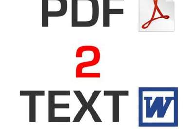 convert data from pdf to word format big1