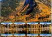 make you a special business or personal 2013 annual calendar