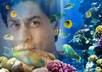 create a Under Water Picture of you
