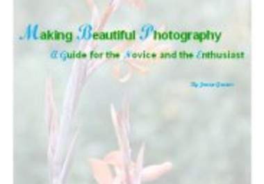 provide you with a 40 page ebook on basic and intermediate photography techniques big1