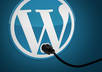 setup wordpress along with plugins on any host or fix/customize existing WP site