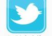 provide 100 twitter followers, no password, no following get followers in 36 hours
