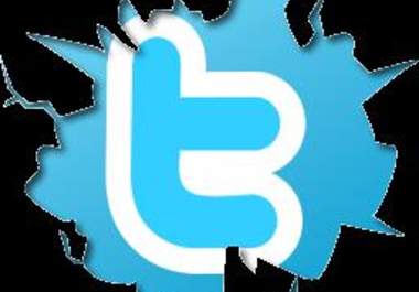show you how to get hundreds of new followers to your Twitter Account Every single Day big1