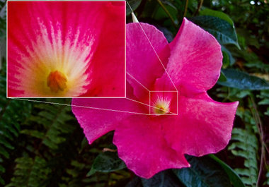resize and resample an image to any size with the best professional quality big1