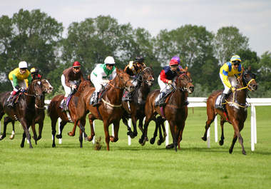 send you UK horse racing betting tips for an entire meeting usually 7 races from over 10 of the best tipping sources big1
