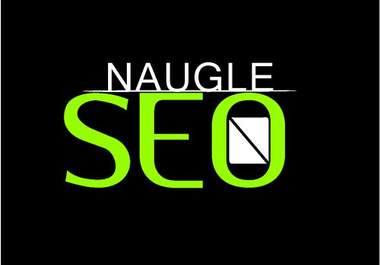 give you an SEO tutorial that will rank your website on the First Page of Google big1