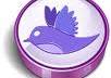 send you 100 twitter followers within 2 business days