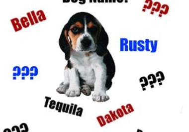 name your pet big1
