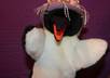ask Penguino to make a 40 sec video about anything you want eng,esp,de,rus small1