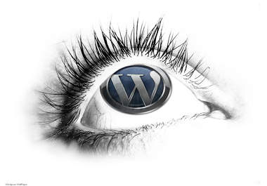 modify your wordpress blog big1