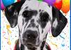 create an animated video starring your pet small1