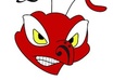 Angryantlogo