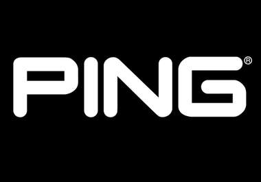piNG your link up to a Massive Unlimited backlinks indexed / crawled / pinged by Google big1
