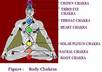 perform a distant reiki healing session to balance your chakras