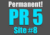 give you a Lifetime Permanent PR5 Blogroll DoFollow Backlink on my 6 year old Domain