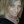 sdeneke